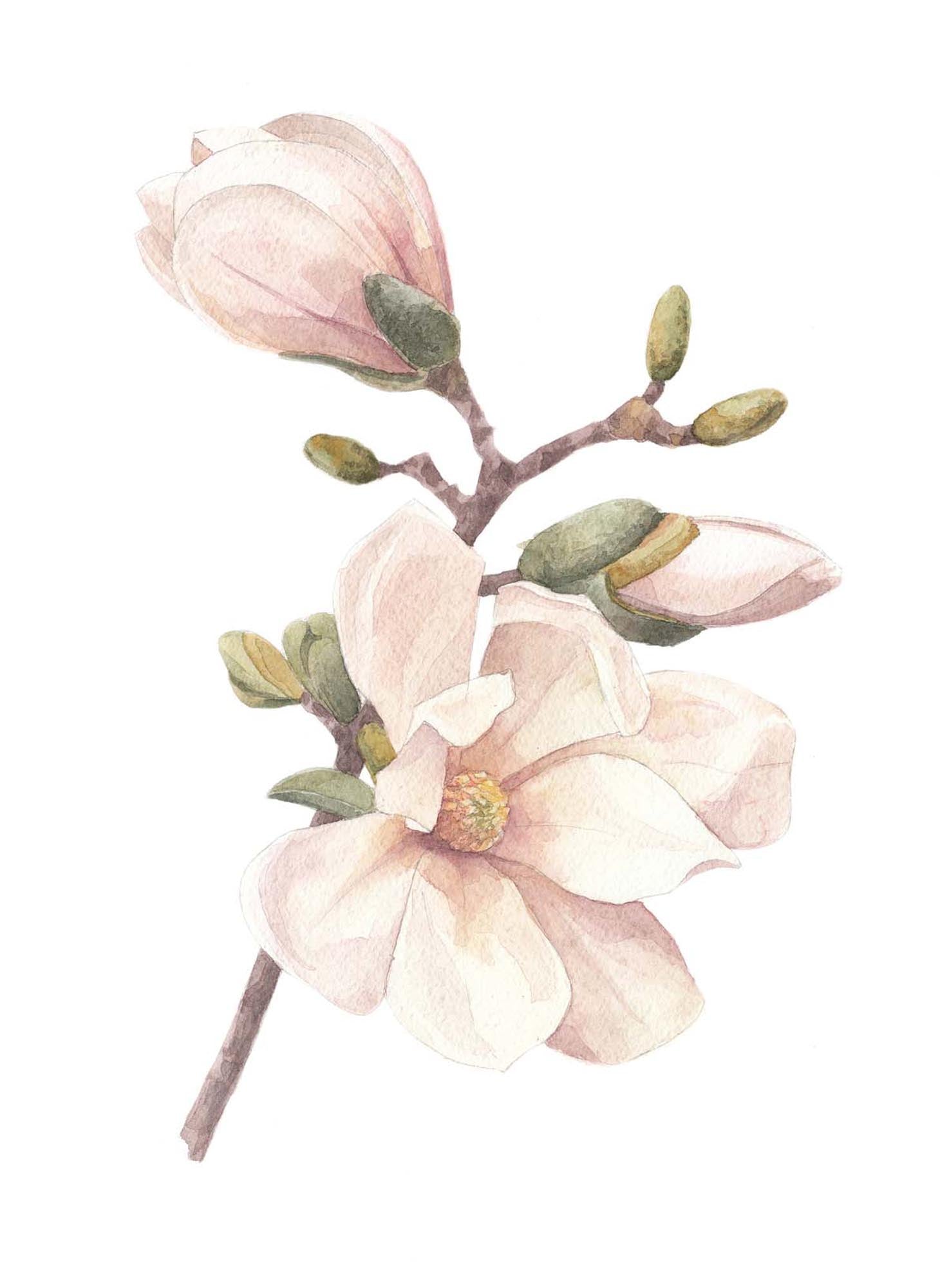 Entdecken Sie das handgemachte Poster von Venture Home mit Kirschbaum-Motiv. Hochwertiger Druck, umweltfreundlich, einzigartig für Ihr Zuhause.