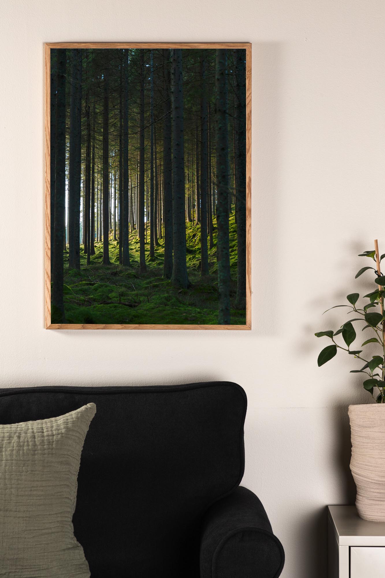 Woods Poster: Entdecken Sie die Ruhe des Waldes in Ihrem Wohnzimmer.