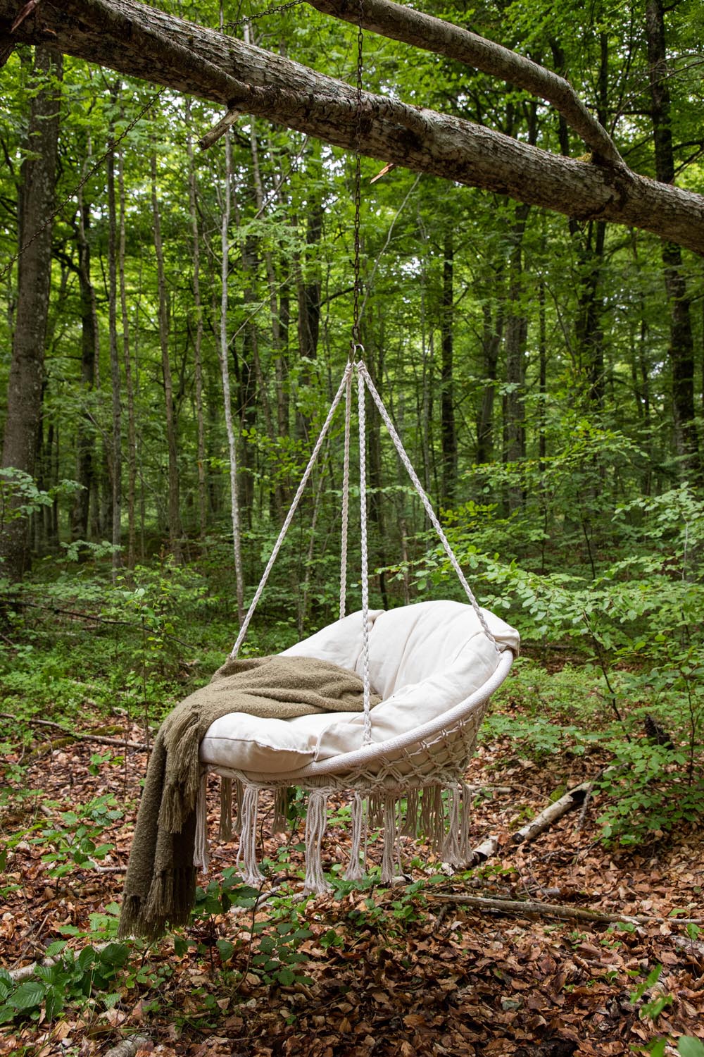 Hamtic Hollywoodschaukel in Weiss präsentiert im Onlineshop von KAQTU Design AG. Schaukel Outdoor ist von Venture Home