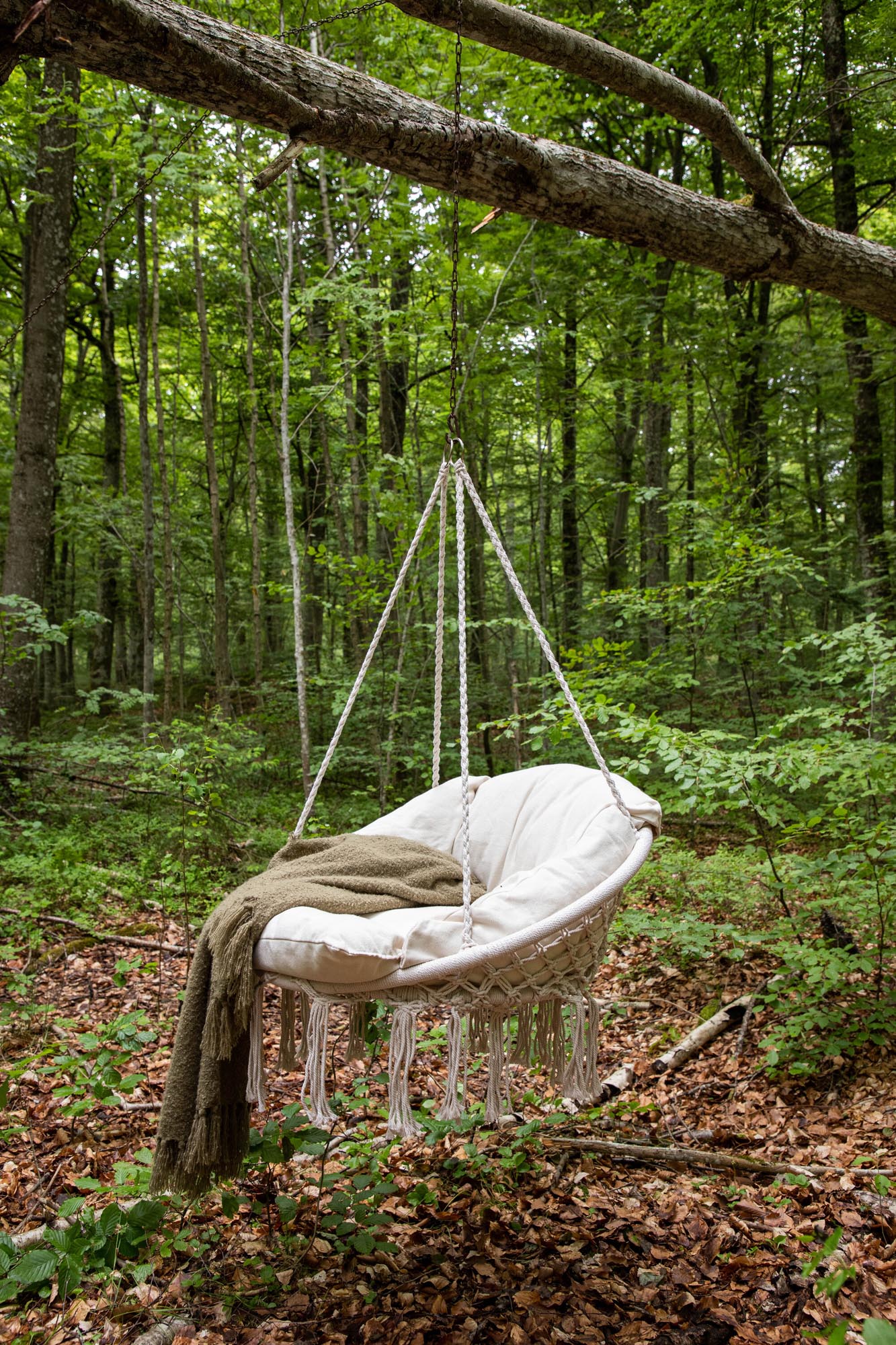 Die Hamtic Hollywoodschaukel von Venture Home bietet stilvollen Komfort und modernes Design für entspannte Gartenstunden.