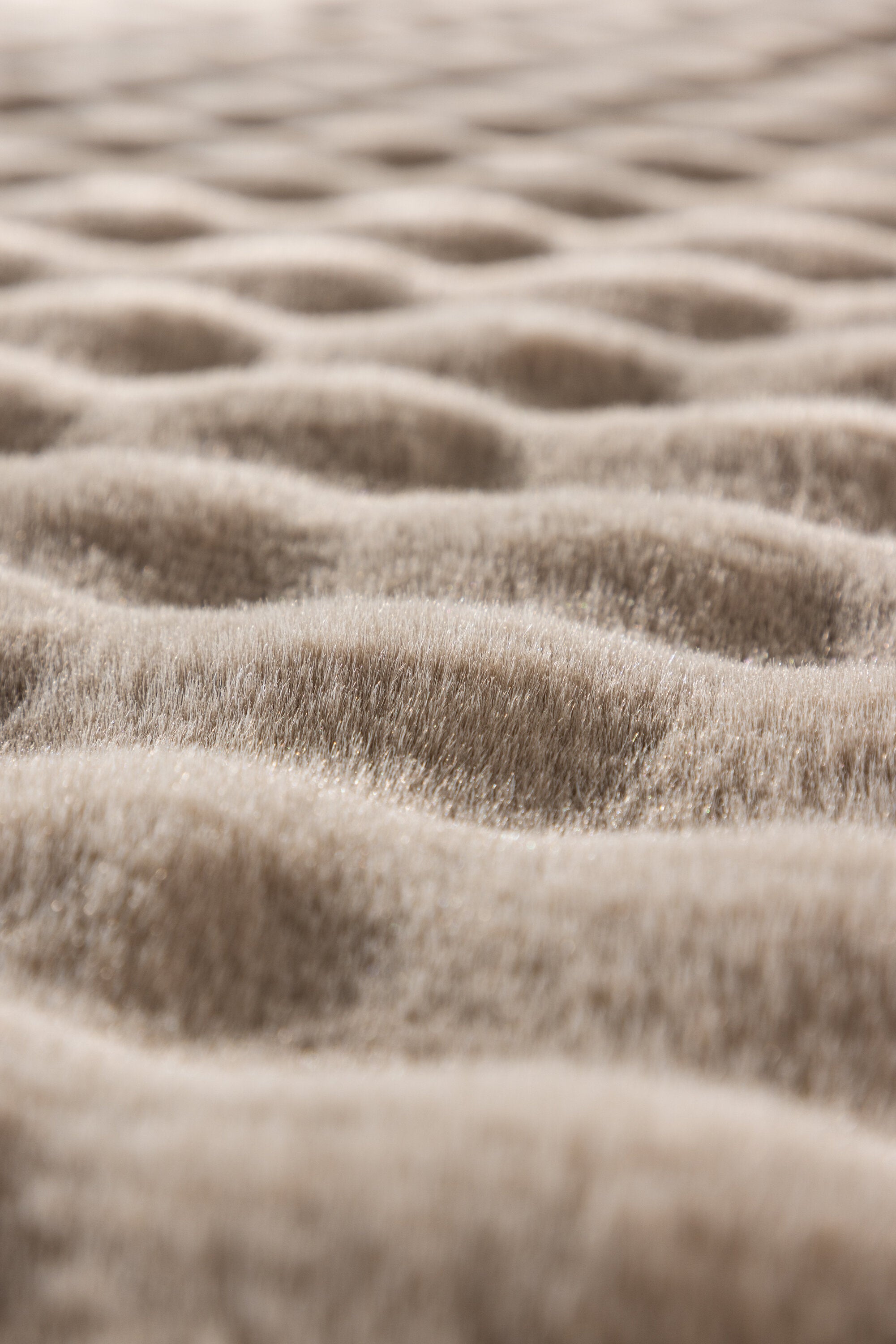 Novis Teppich in Beige präsentiert im Onlineshop von KAQTU Design AG. Teppich ist von Venture Home