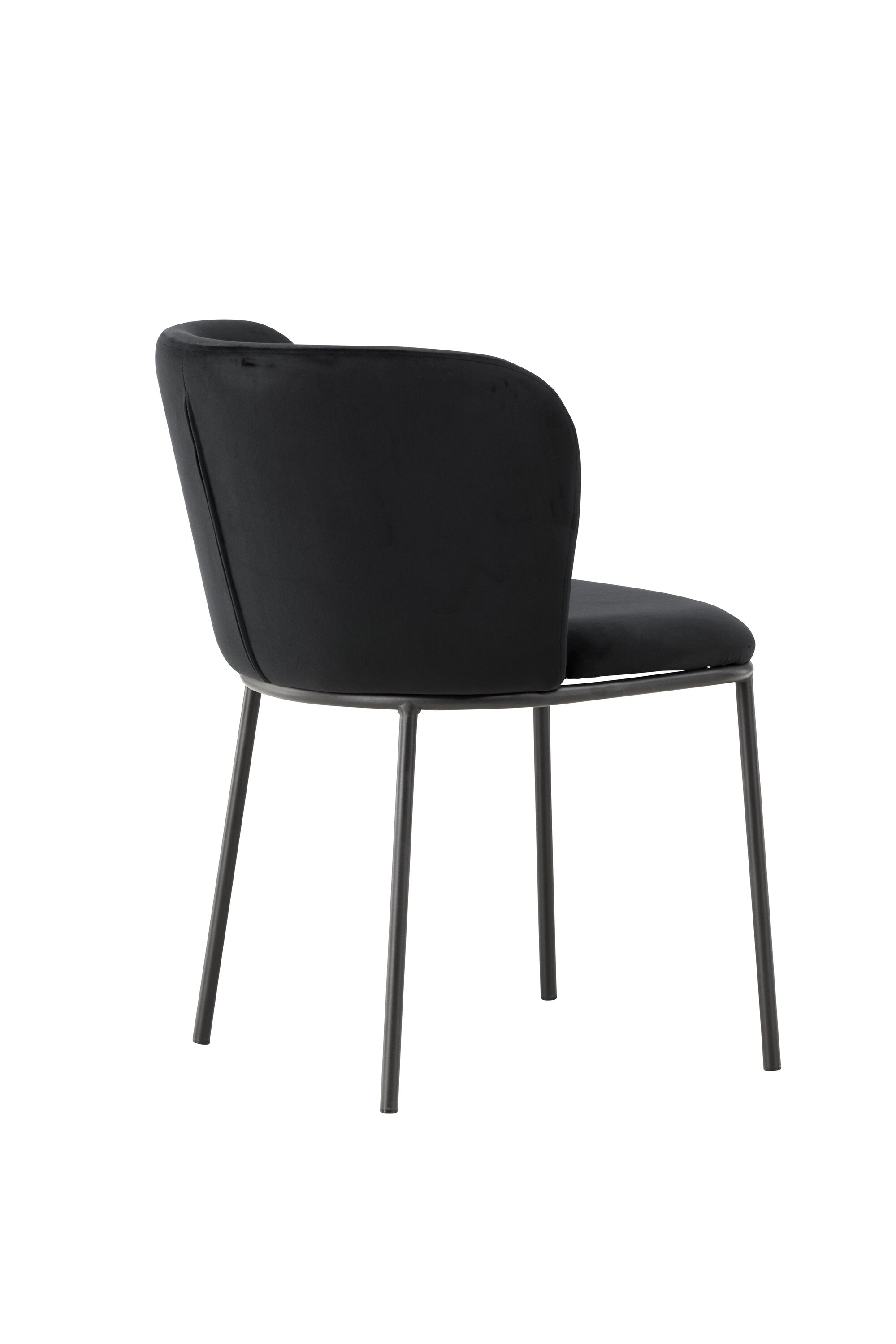 Edina Esszimmerstuhl von Venture Home: Stilvolles Design und hoher Komfort, ideal für moderne Esszimmer und gemütliche Momente.