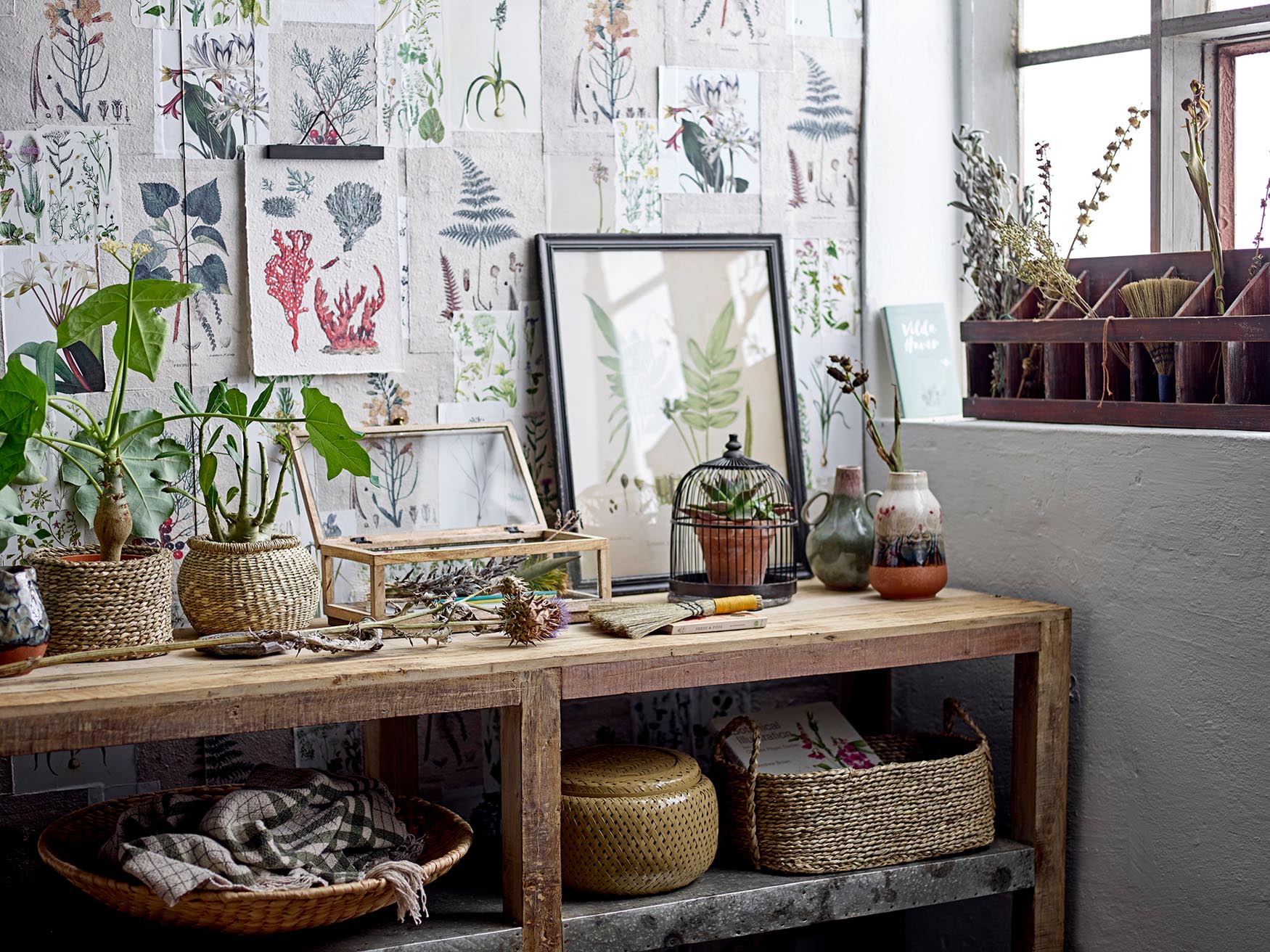 Chilas Klemme, Tannenholz, schwarz: Perfekt für kreative Akzente.