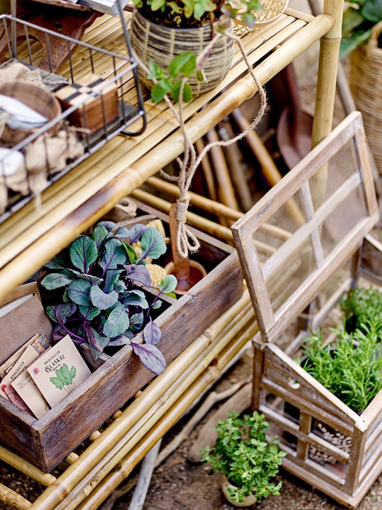 Marti Display-Kasten: Rustikales Tannenholz-Design von Bloomingville.