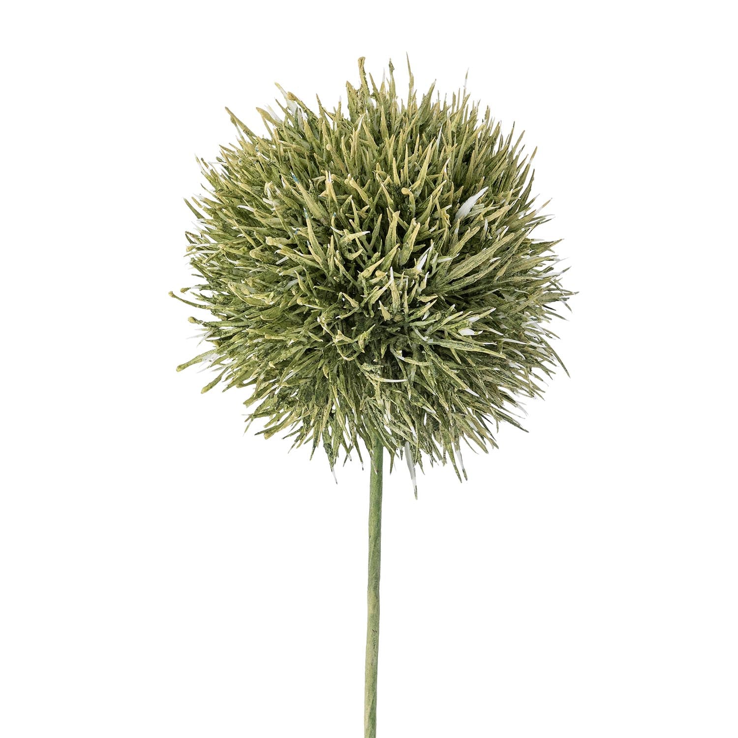 Künstlicher Allium-Stiel in Grün von Bloomingville, ideal für stilvolle Dekorationen und langlebige florale Akzente.
