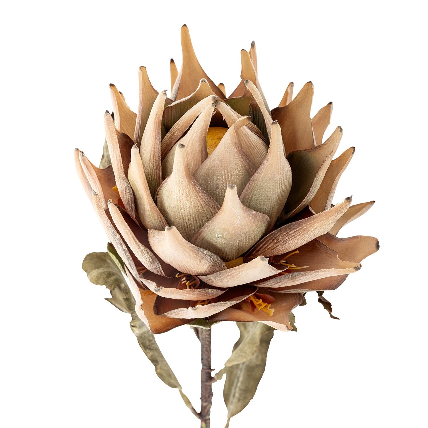 Künstlicher Protea-Stiel von Bloomingville, ideal für stilvolle Dekorationen und dauerhafte florale Akzente in jedem Raum.