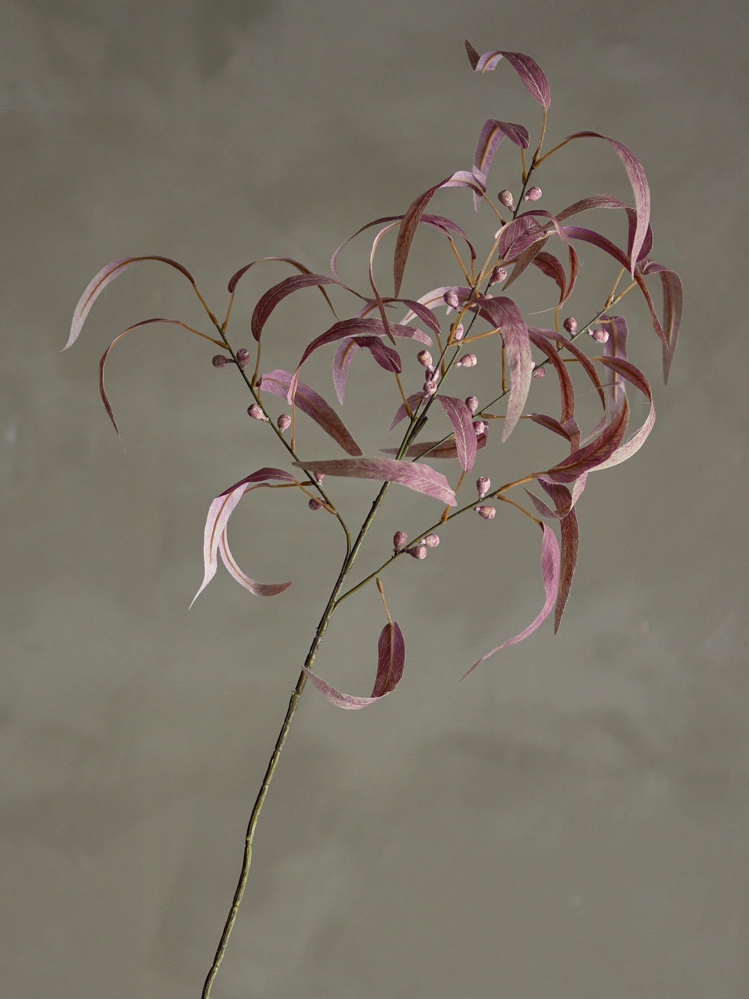 Ein eleganter, roter Eucalyptus Stiel von Bloomingville, der realistisch und pflegeleicht ist, ideal für stilvolle Dekorationen.