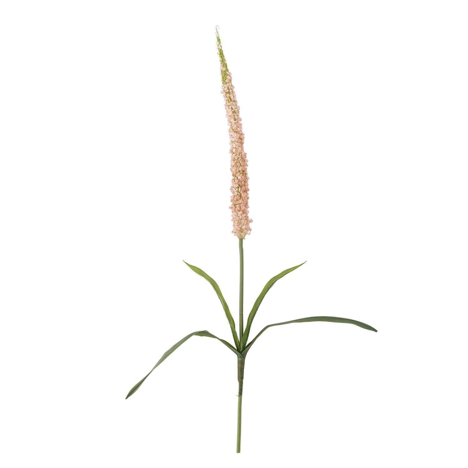 Foxtail-Stiel mit Rose von Bloomingville, eine hochwertige künstliche Blume für elegante und zeitlose Dekorationen.