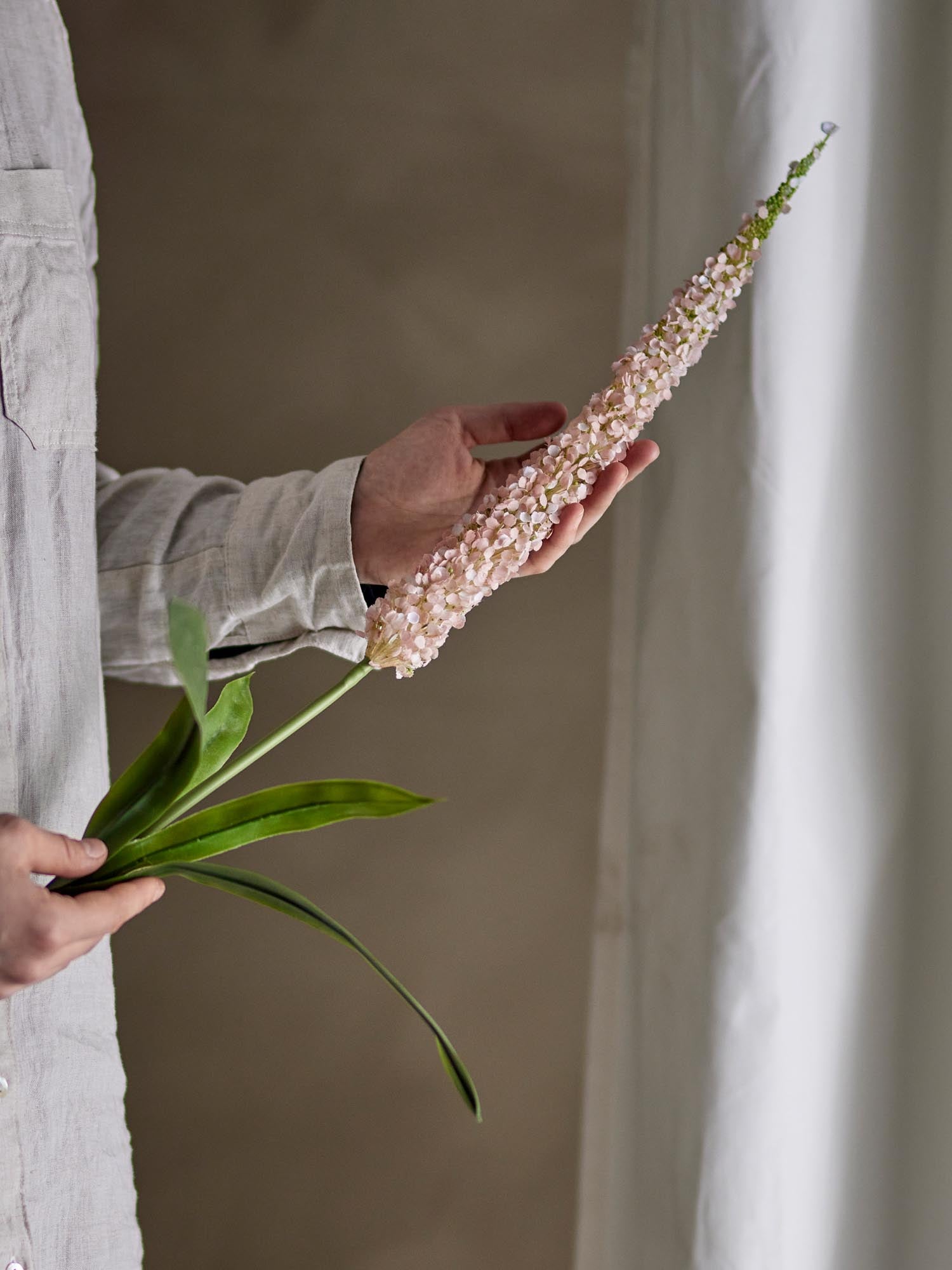 Foxtail-Stiel mit Rose von Bloomingville: Hochwertige künstliche Blume, perfekt für stilvolle und langlebige Dekorationen.