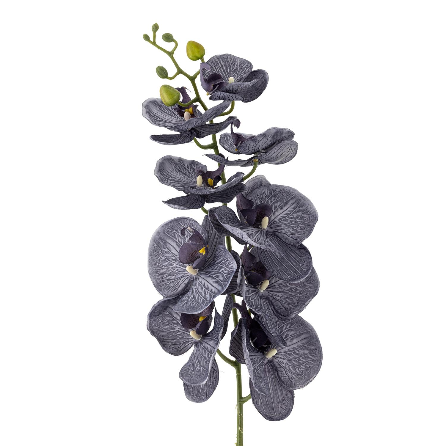 Eleganter violetter Orchideenstiel von Bloomingville, perfekt für zeitlose Dekorationen und kunstvolle Blumenarrangements.