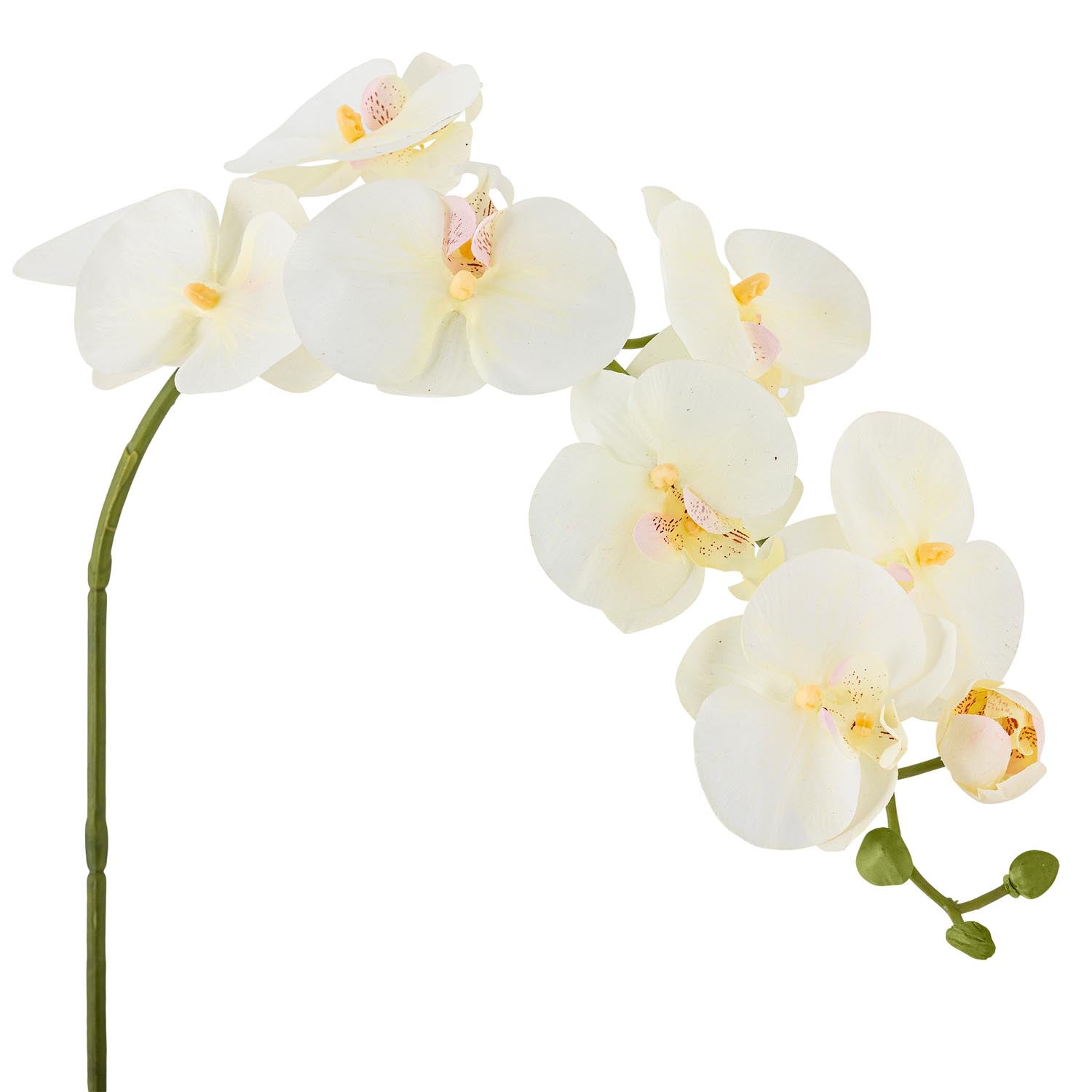 Eleganter weisser Orchideenstiel von Bloomingville, ideal für stilvolle Dekorationen und langlebige Blumenarrangements.