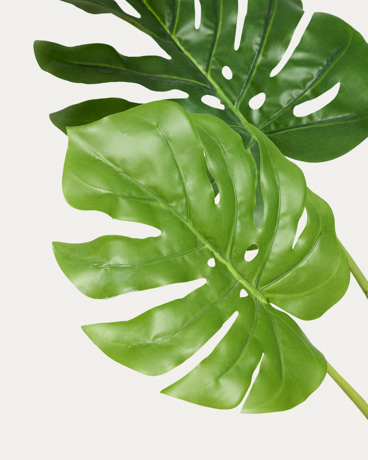 Monstera Kunstpflanze 130 cm in Grün, Schwarz präsentiert im Onlineshop von KAQTU Design AG. Kunstpflanze ist von Kave Home