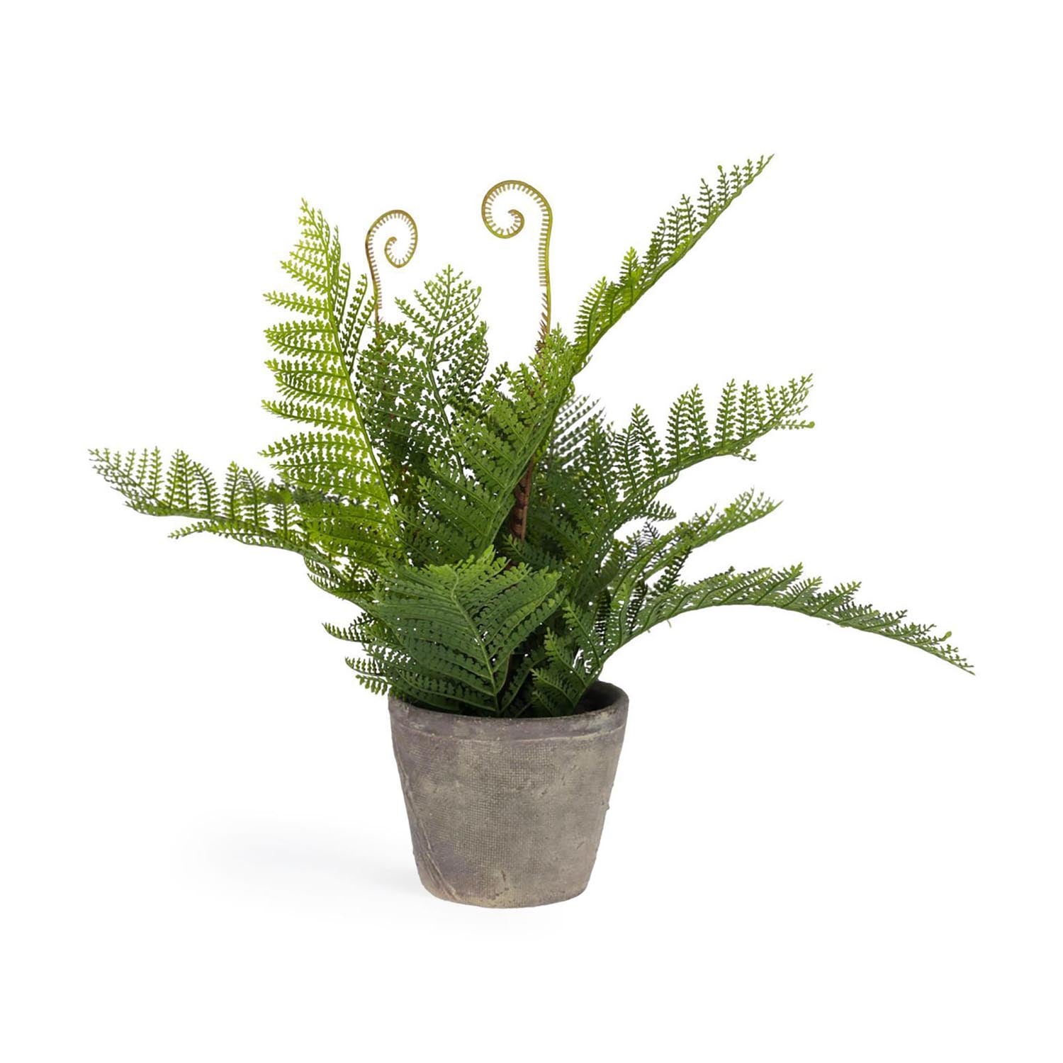 Filicopsida Kunstpflanze von Kave Home: Pflegeleicht, langlebig, urbaner Flair, vielseitig, Blickfang in jedem Raum.