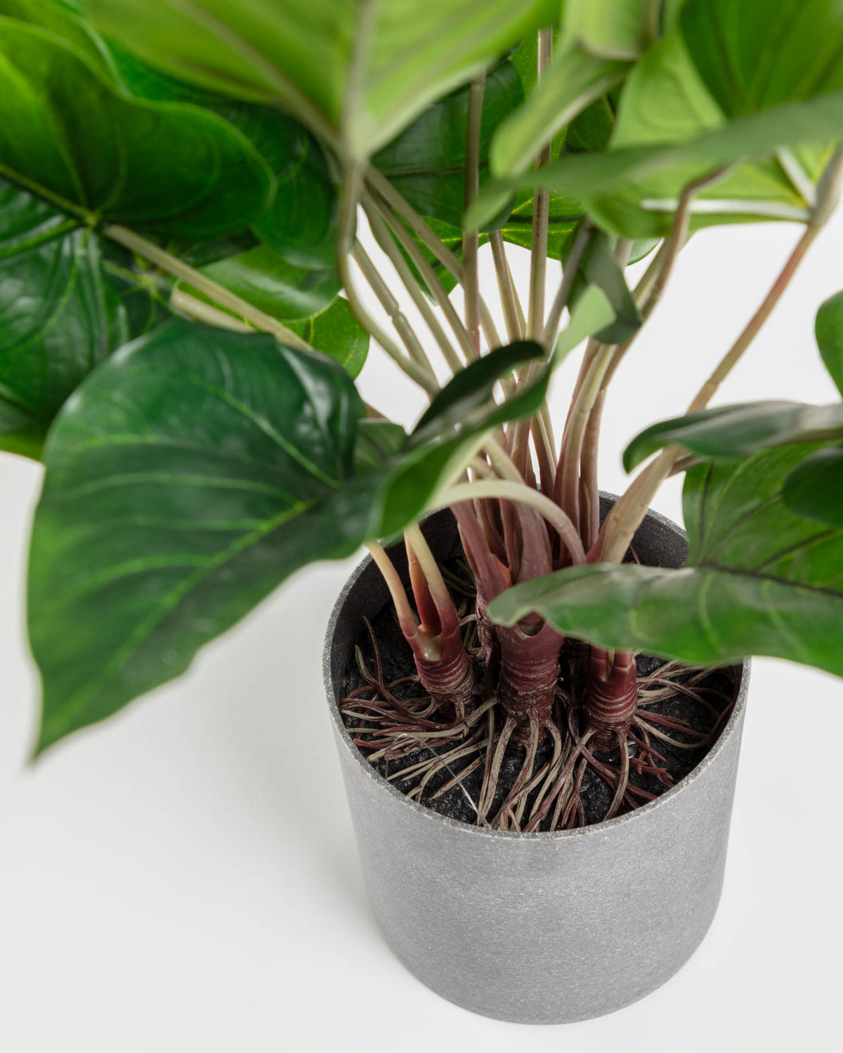 Anthurium Kunstpflanze 50 cm in Grün, Grau präsentiert im Onlineshop von KAQTU Design AG. Kunstpflanze ist von Kave Home