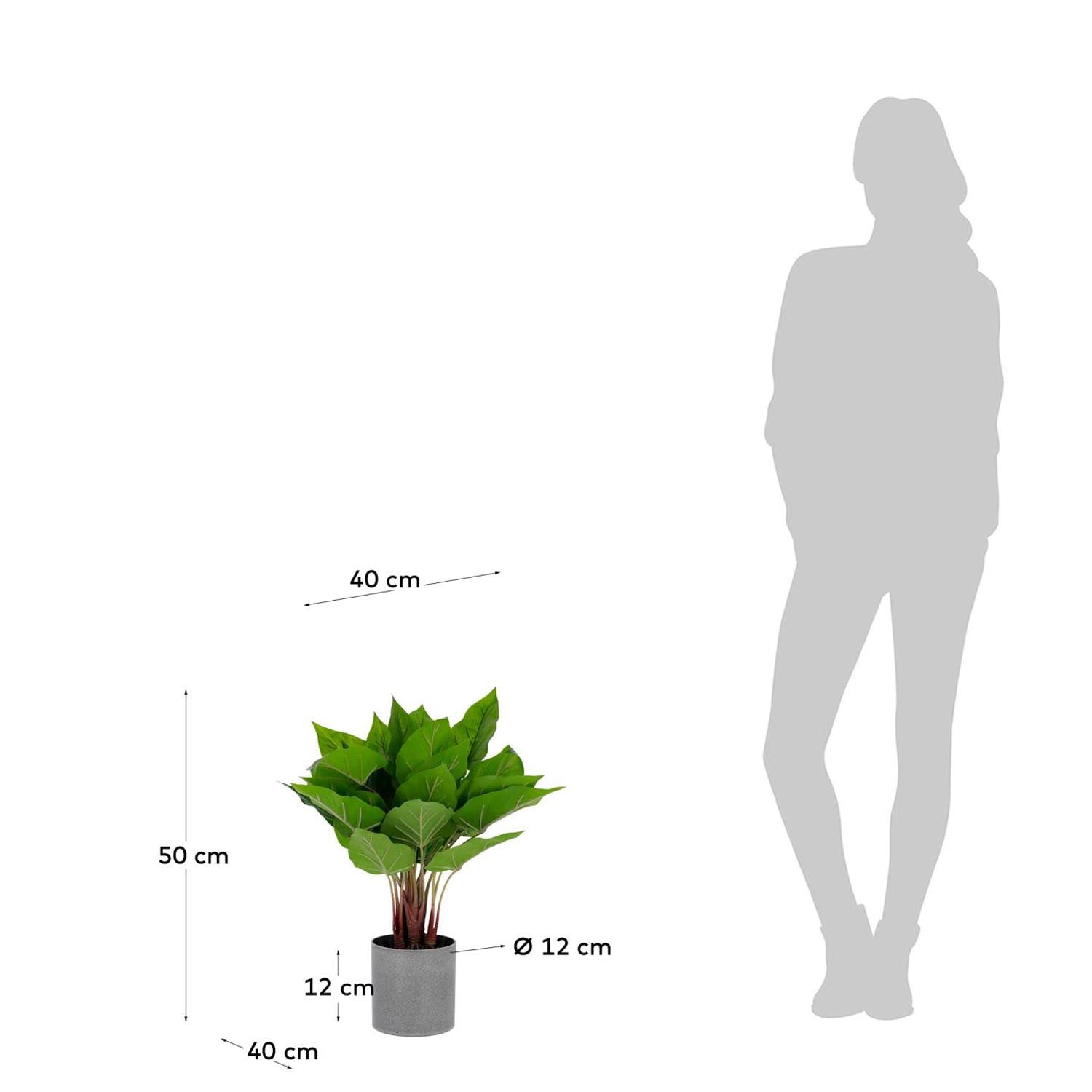 Anthurium Kunstpflanze 50 cm von Kave Home: Eleganz und Natur für Ihr Zuhause, pflegeleicht und ideal für Allergiker.