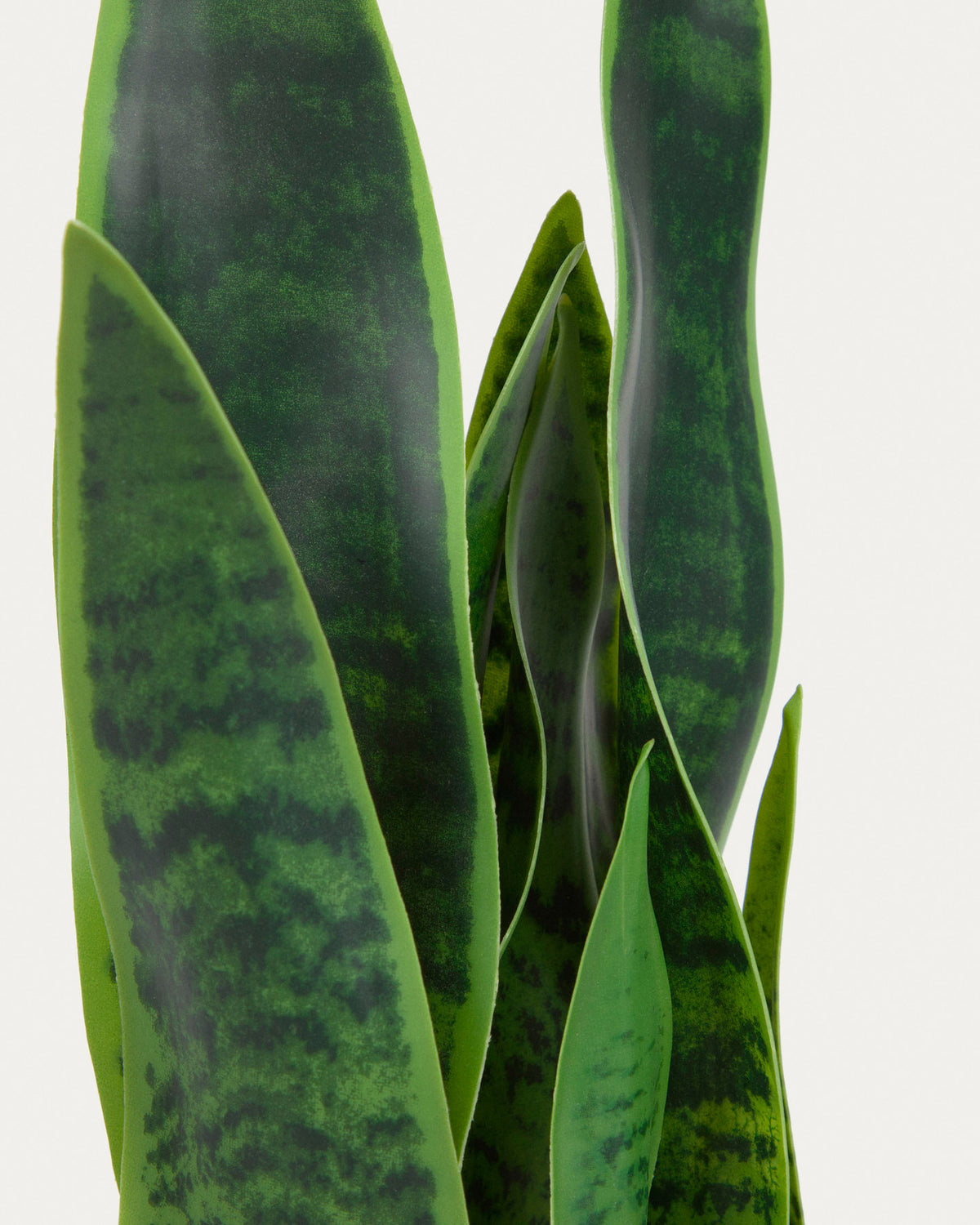 Sansevieria Kunstpflanze mit Topf weiss 55 cm in Weiss präsentiert im Onlineshop von KAQTU Design AG. Kunstpflanze ist von Kave Home