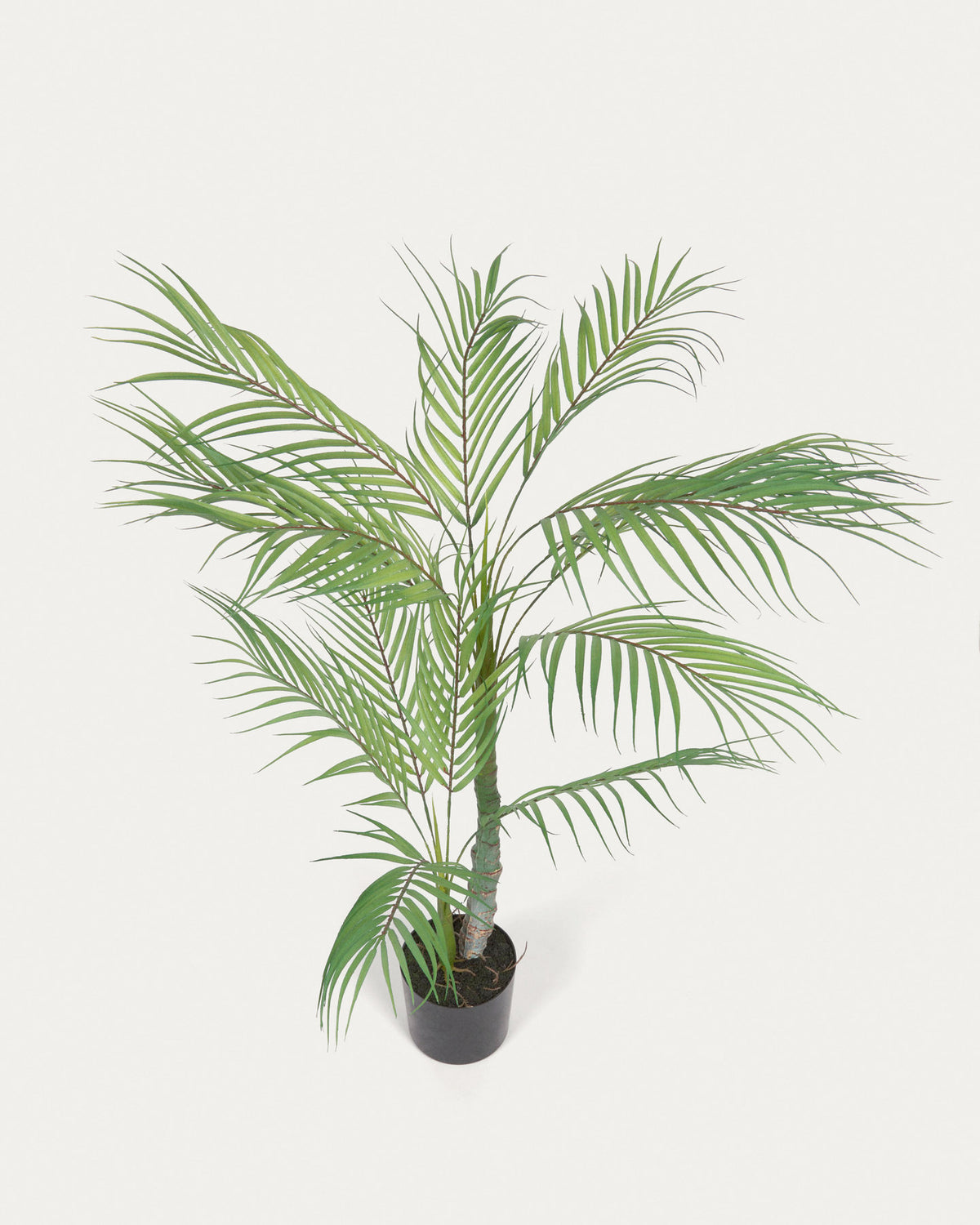 Palmera Kunstpflanze mit Topf schwarz 70 cm in Schwarz präsentiert im Onlineshop von KAQTU Design AG. Kunstpflanze ist von Kave Home