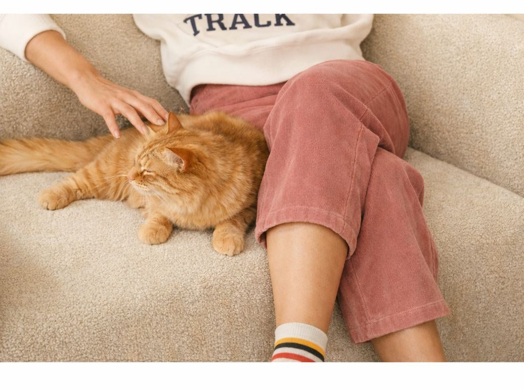 Cremefarbenes 1-Sitzer Schlafsofa Wello aus Bouclé-Stoff mit kompakter Sitzfläche und ausklappbarer Liegefläche im Wohnraum.