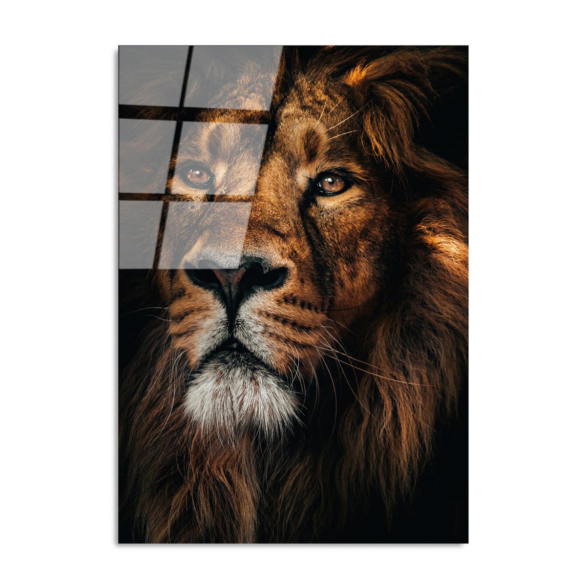 UV Bild - Mehrfarbig in Mehrfarbig präsentiert im Onlineshop von KAQTU Design AG. Bild ist von Wallity