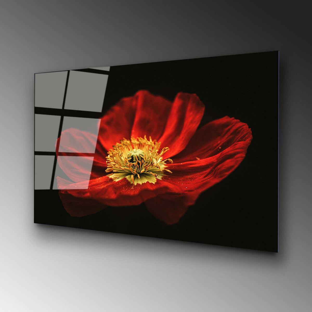UV Bild - Mehrfarbig in Mehrfarbig präsentiert im Onlineshop von KAQTU Design AG. Bild ist von Wallity
