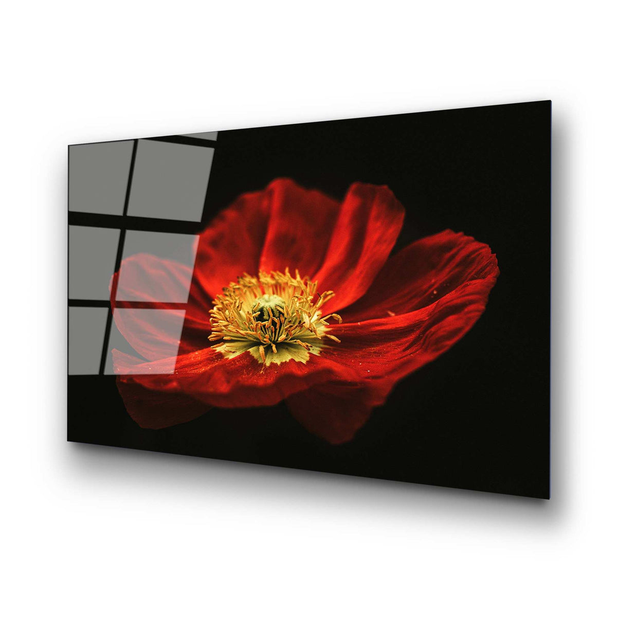 UV Bild - Mehrfarbig in Mehrfarbig präsentiert im Onlineshop von KAQTU Design AG. Bild ist von Wallity