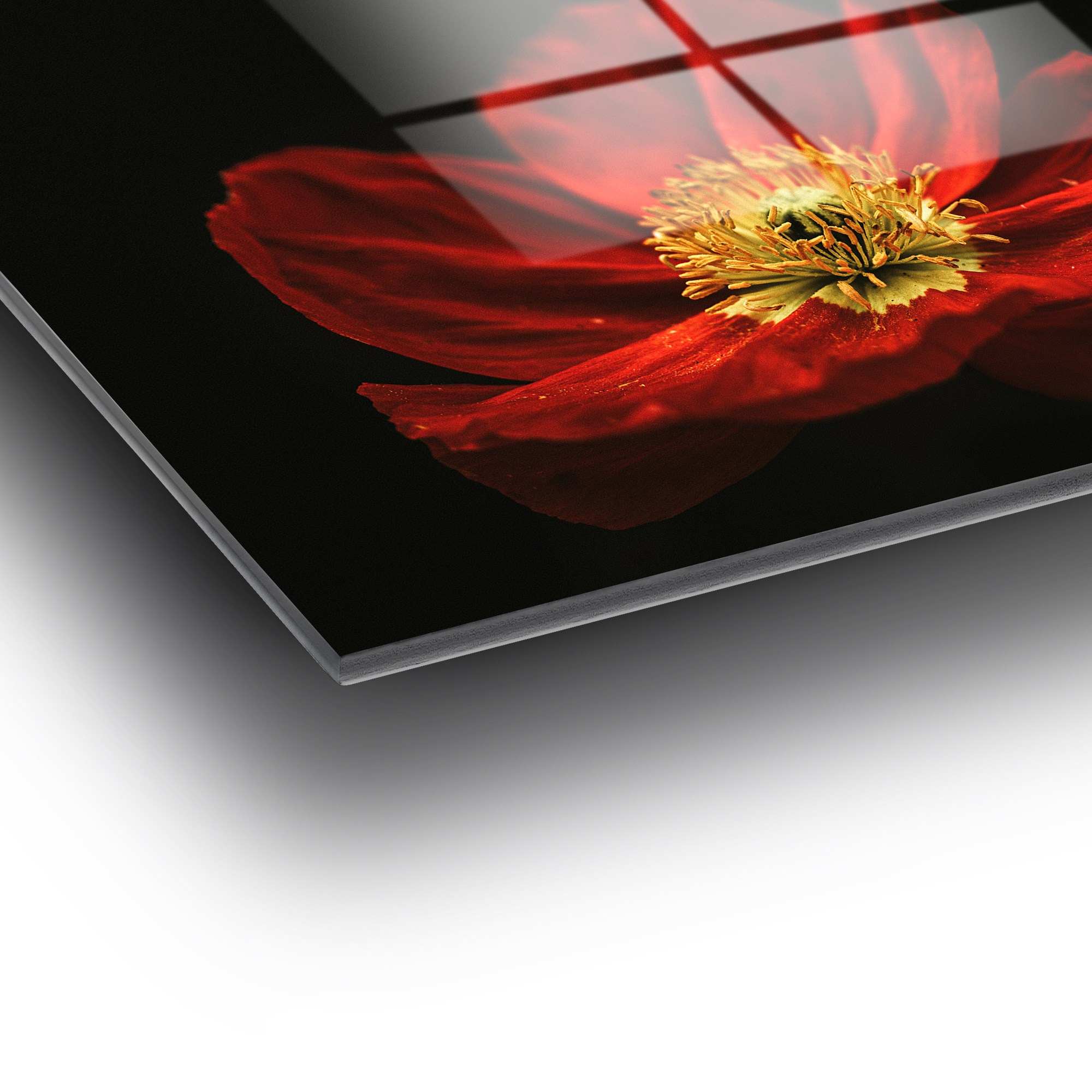 Entdecken Sie die faszinierende Schönheit des UV-Bildes von Wallity. Dieses dekorative Glasgemälde verleiht Ihrem Raum lebendige Farben und zeitlose Eleganz.