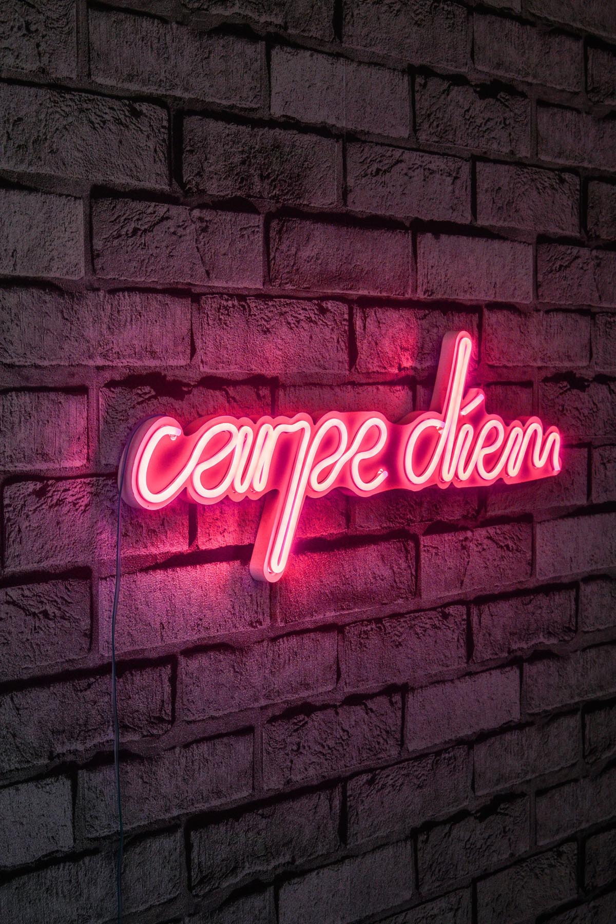 Verleihen Sie Ihrem Zuhause mit der Carpe Diem Wandleuchte in Rosa von Wallity einen einzigartigen Akzent. Diese flexible Neonbeleuchtung schafft eine einladende Atmosphäre und inspiriert Ihre Kreativität.