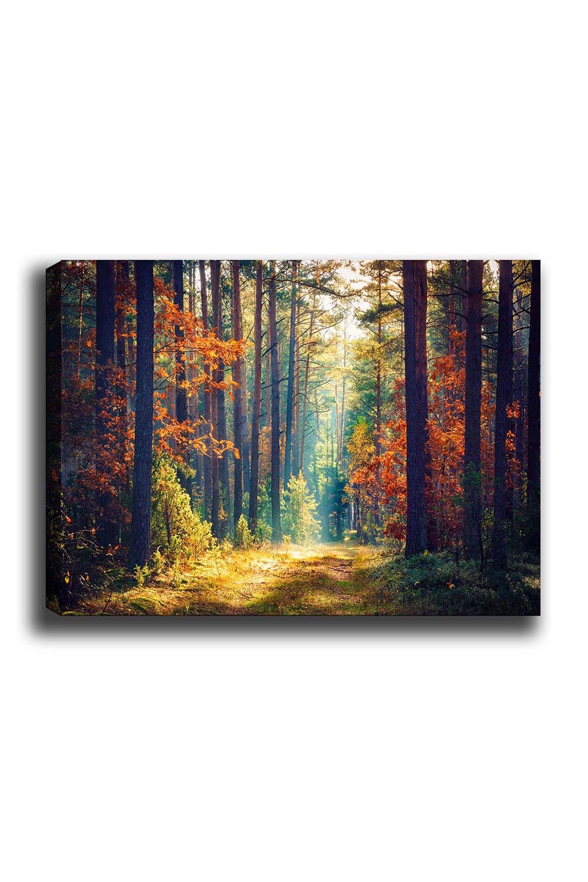 Kanvas Tablo (50 x 70) Bild - Mehrfarbig in Mehrfarbig präsentiert im Onlineshop von KAQTU Design AG. Bild ist von Wallity