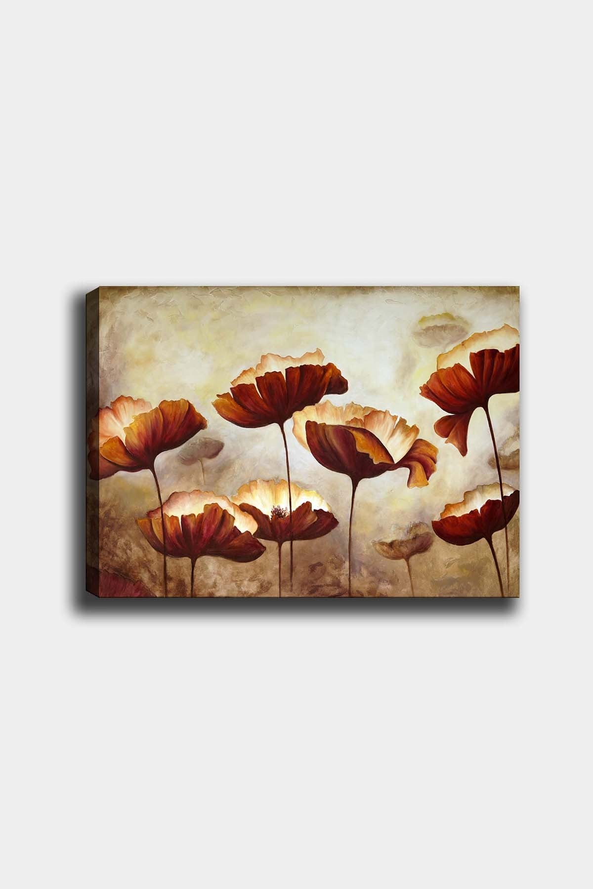 335581049 Image - multi -colored