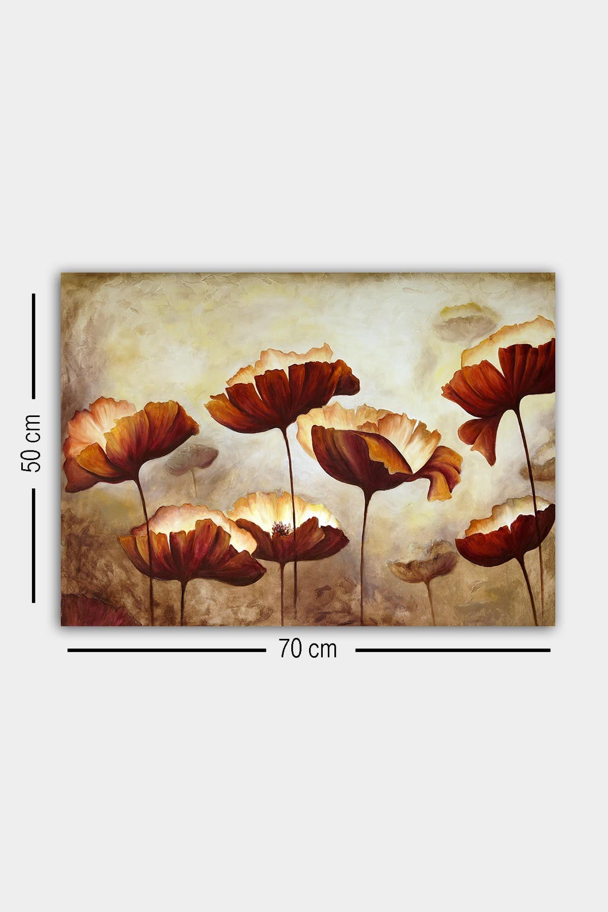 335581049 Image - multi -colored