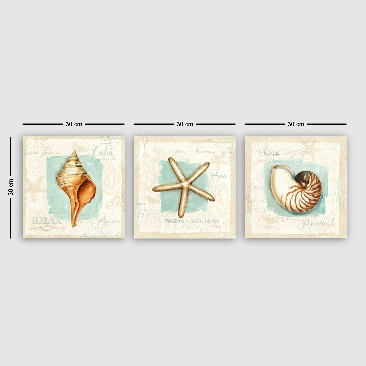 pmdr44 Bild - Mehrfarbig