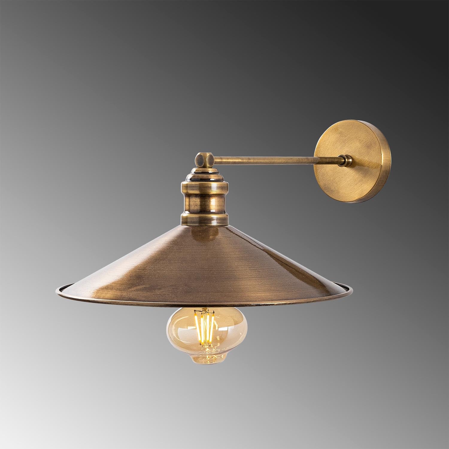 Entdecken Sie die Dodo Wandleuchte von Opviq – eine perfekte Kombination aus nostalgischem Vintage-Design und zeitgemäßer Eleganz für Ihr Zuhause.