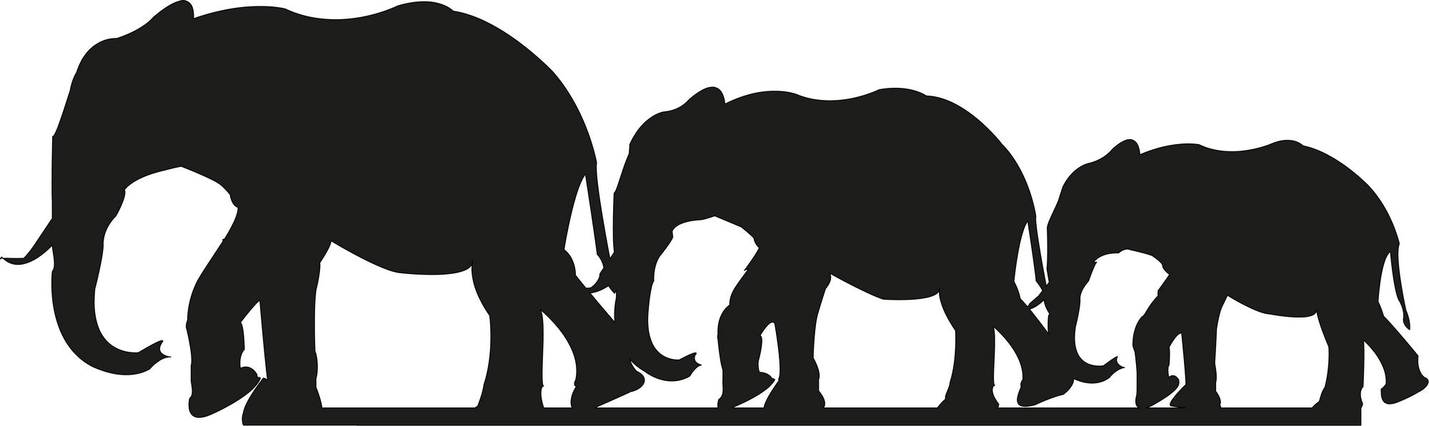 Elephants in Schwarz präsentiert im Onlineshop von KAQTU Design AG. Wanddeko ist von Wallity