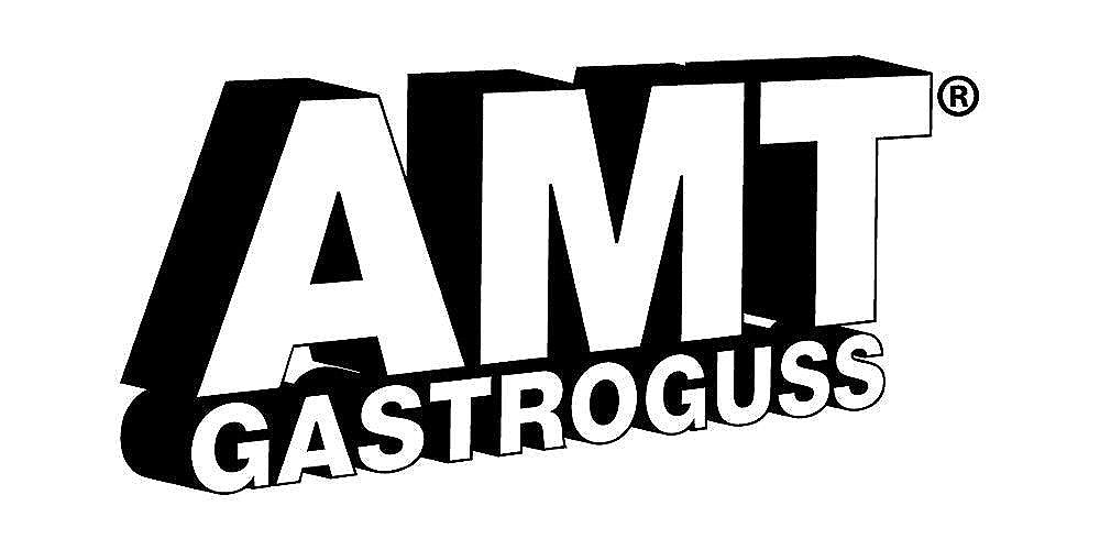 amt gastroguss logo