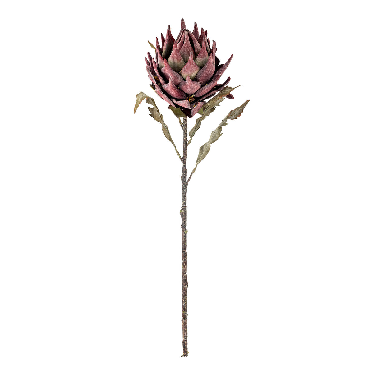 Protea Stiel, Violett, Künstliche Blumen in Lila präsentiert im Onlineshop von KAQTU Design AG. Kunstblume ist von Bloomingville