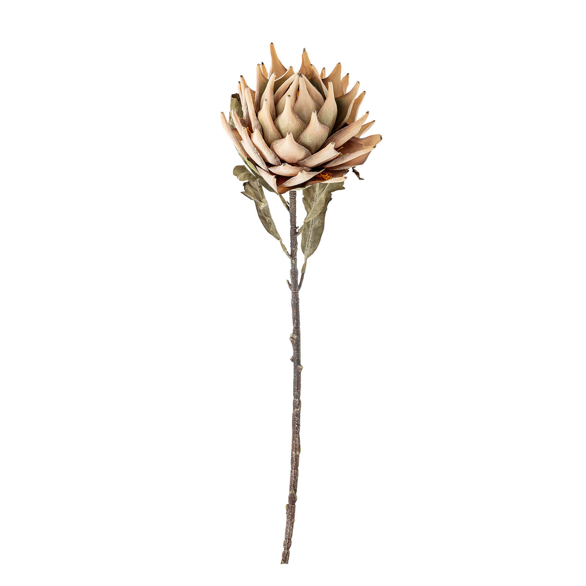 Kunstblume Protea Stiel in Beige von Bloomingville mit cremefarbenen Blütenblättern aus PE, Eisen und Polyester, Höhe 76 cm, dekorativ angeordnet.