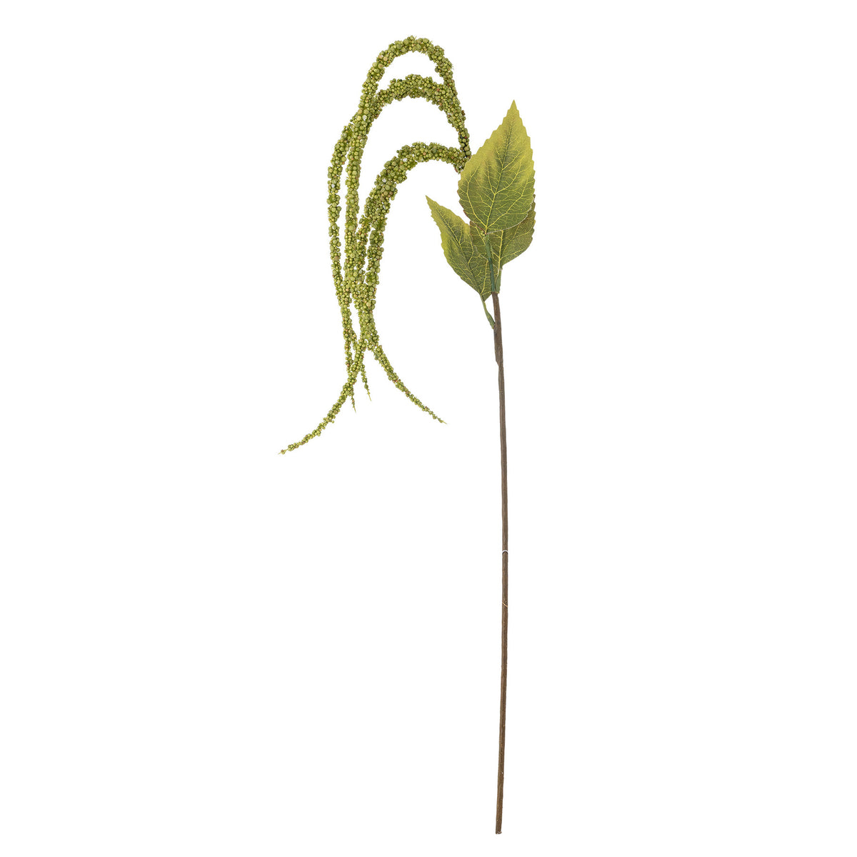 Foxtail Stiel, Grün, Künstliche Blumen in Grün präsentiert im Onlineshop von KAQTU Design AG. Kunstblume ist von Bloomingville