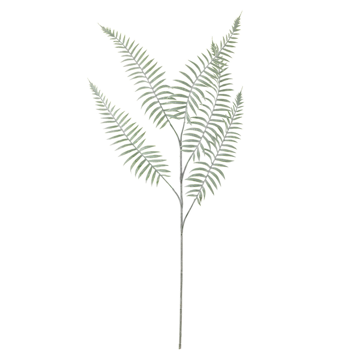 Sago Stiel, Grün, Künstliche Blumen in Grün präsentiert im Onlineshop von KAQTU Design AG. Kunstblume ist von Bloomingville