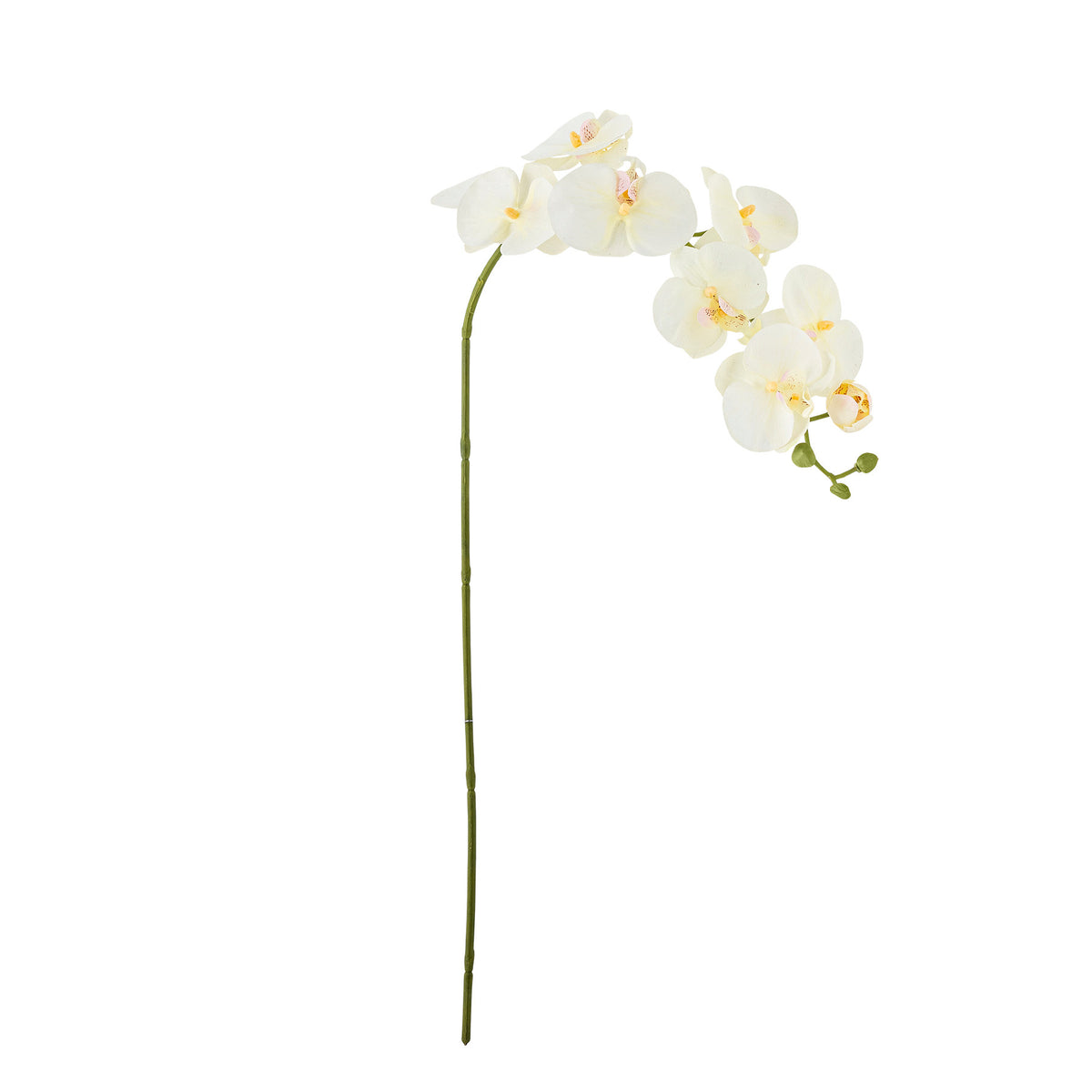 Orchid Stiel, Weiss, Künstliche Blumen in Weiss präsentiert im Onlineshop von KAQTU Design AG. Kunstblume ist von Bloomingville