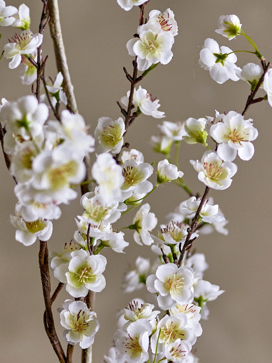 Apple Zweig, Weiß, Künstliche Blumen in White präsentiert im Onlineshop von KAQTU Design AG. Kunstpflanze ist von Bloomingville