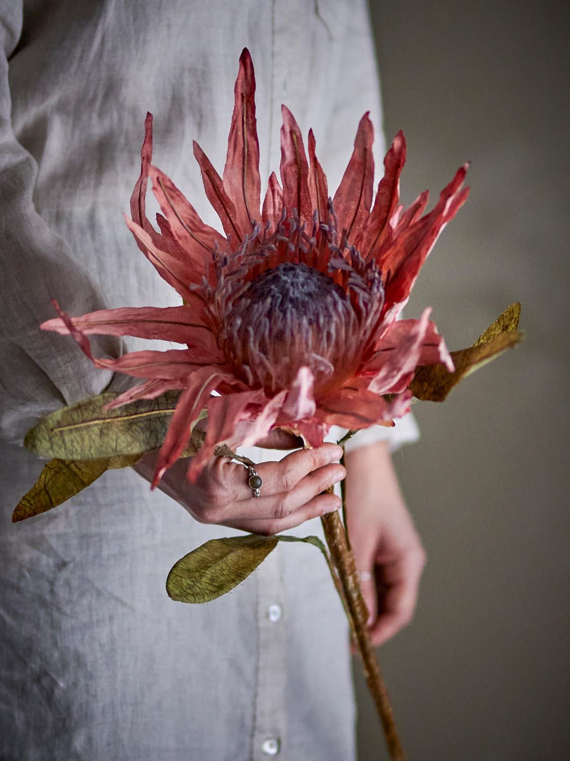 Protea Stiel, Rose, Künstliche Blumen in Rose präsentiert im Onlineshop von KAQTU Design AG. Kunstpflanze ist von Bloomingville