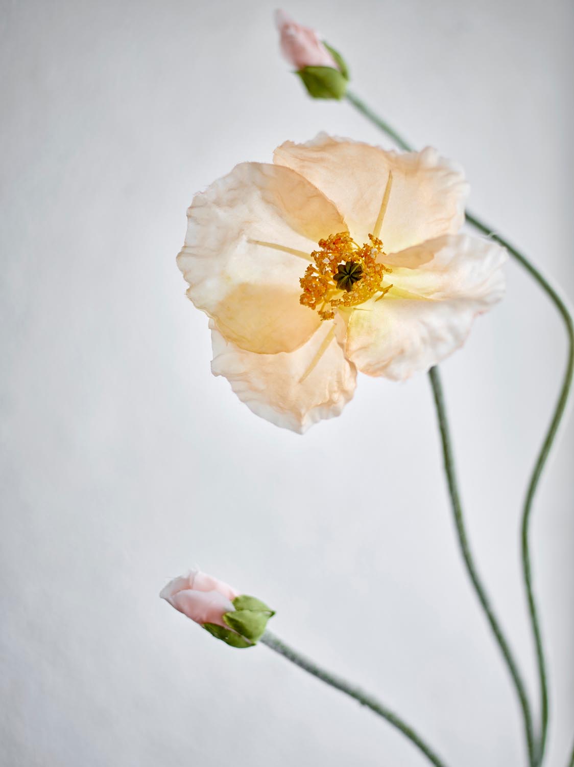 Poppy Stiel, Natur, Künstliche Blumen in Nature präsentiert im Onlineshop von KAQTU Design AG. Kunstblume ist von Bloomingville
