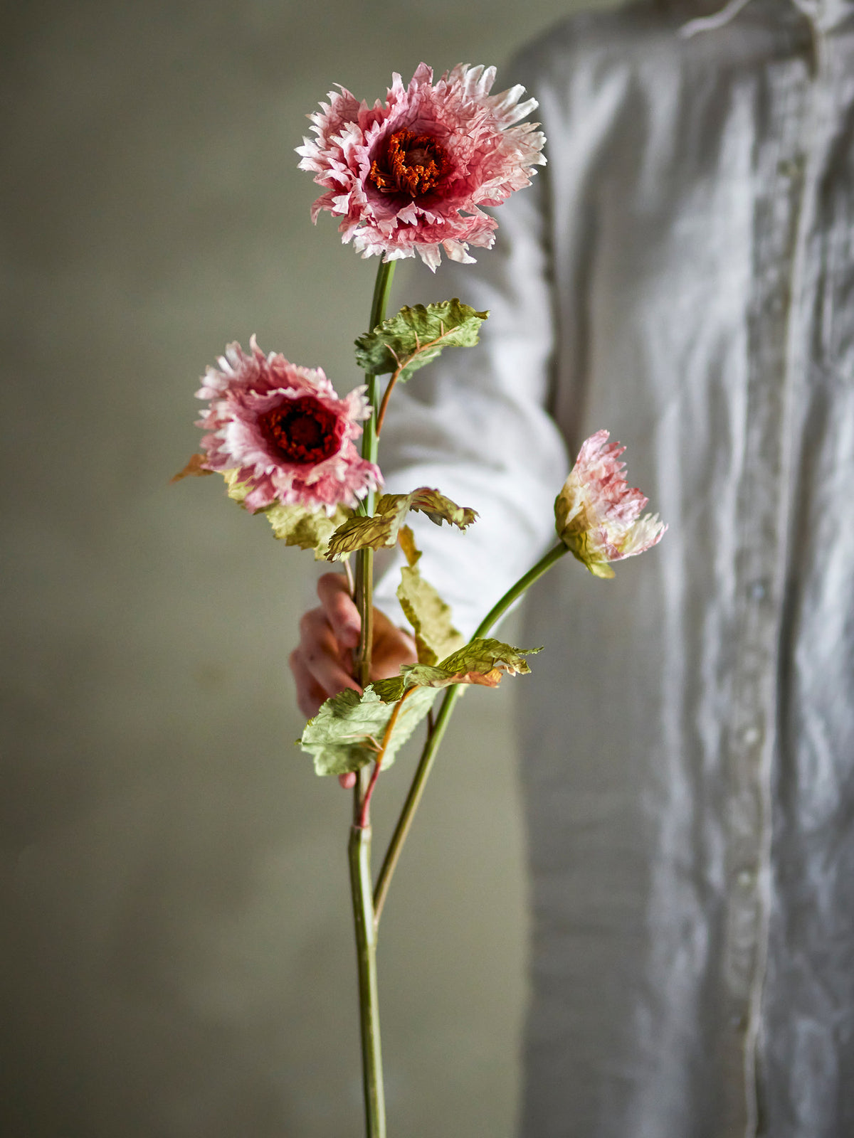Chrysantemum Stiel, Rose, Künstliche Blumen in Rose präsentiert im Onlineshop von KAQTU Design AG. Kunstpflanze ist von Bloomingville