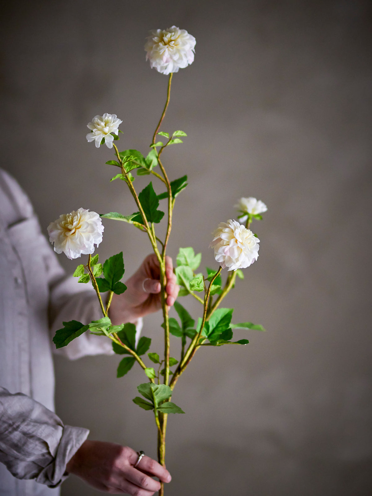 Chrysantemum Stiel, Weiss, Künstliche Blumen in White präsentiert im Onlineshop von KAQTU Design AG. Kunstpflanze ist von Bloomingville