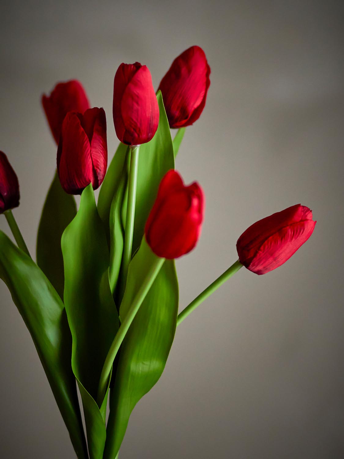 Tulip Blumenstrauß, Rot, Künstliche Blumen in Red präsentiert im Onlineshop von KAQTU Design AG. Kunstpflanze ist von Bloomingville