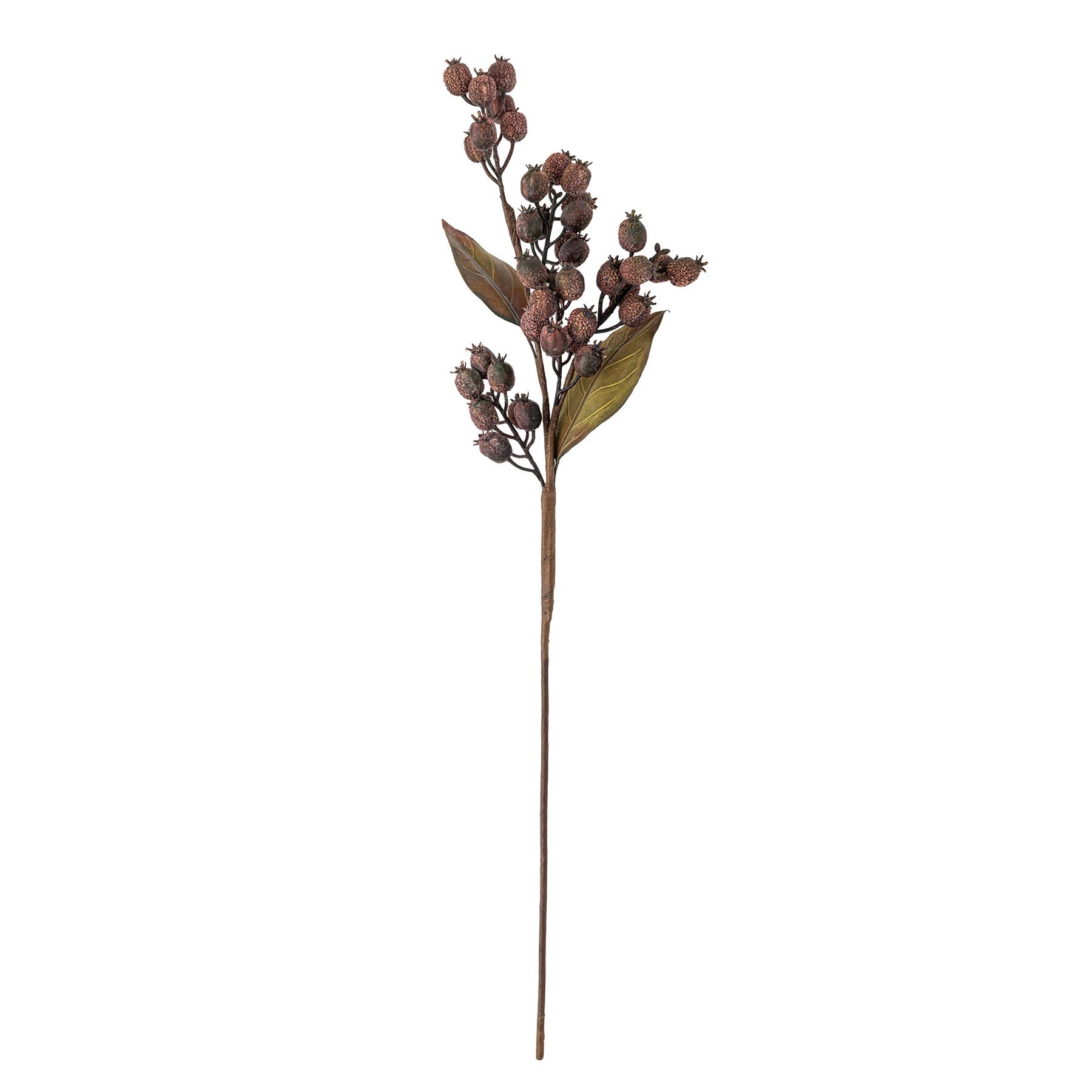 Berry Zweig, Braun, Künstliche Blumen in Brown präsentiert im Onlineshop von KAQTU Design AG. Kunstpflanze ist von Bloomingville