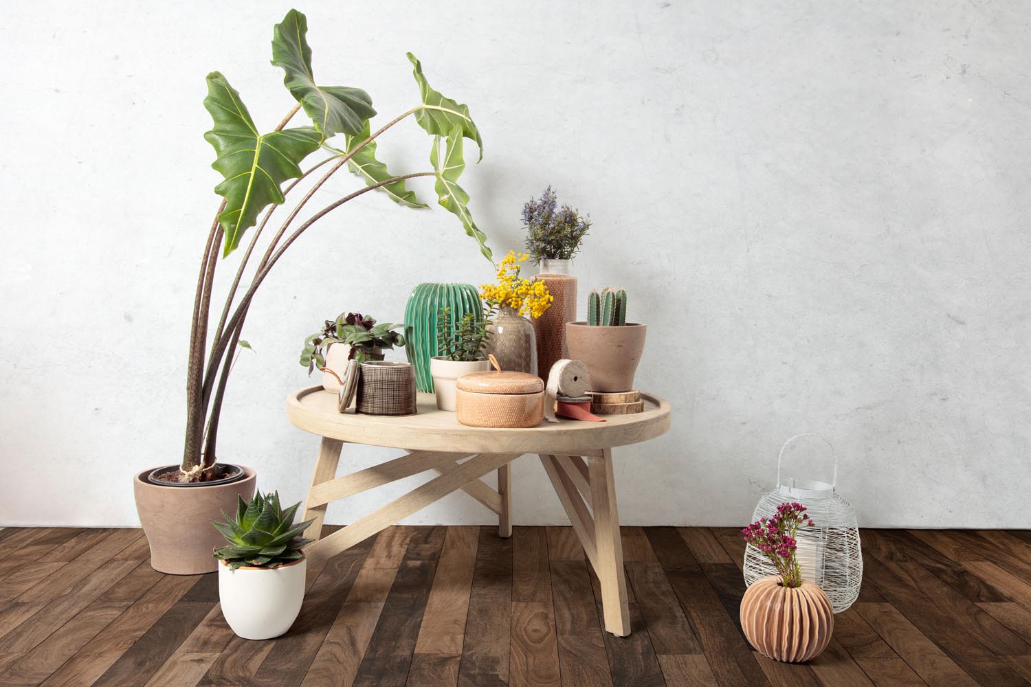 Eleganter runder Couchtisch aus massivem Mindi-Holz, Ø 81 cm, von Kave Home. Perfekt für stilvolle und moderne Wohnräume.