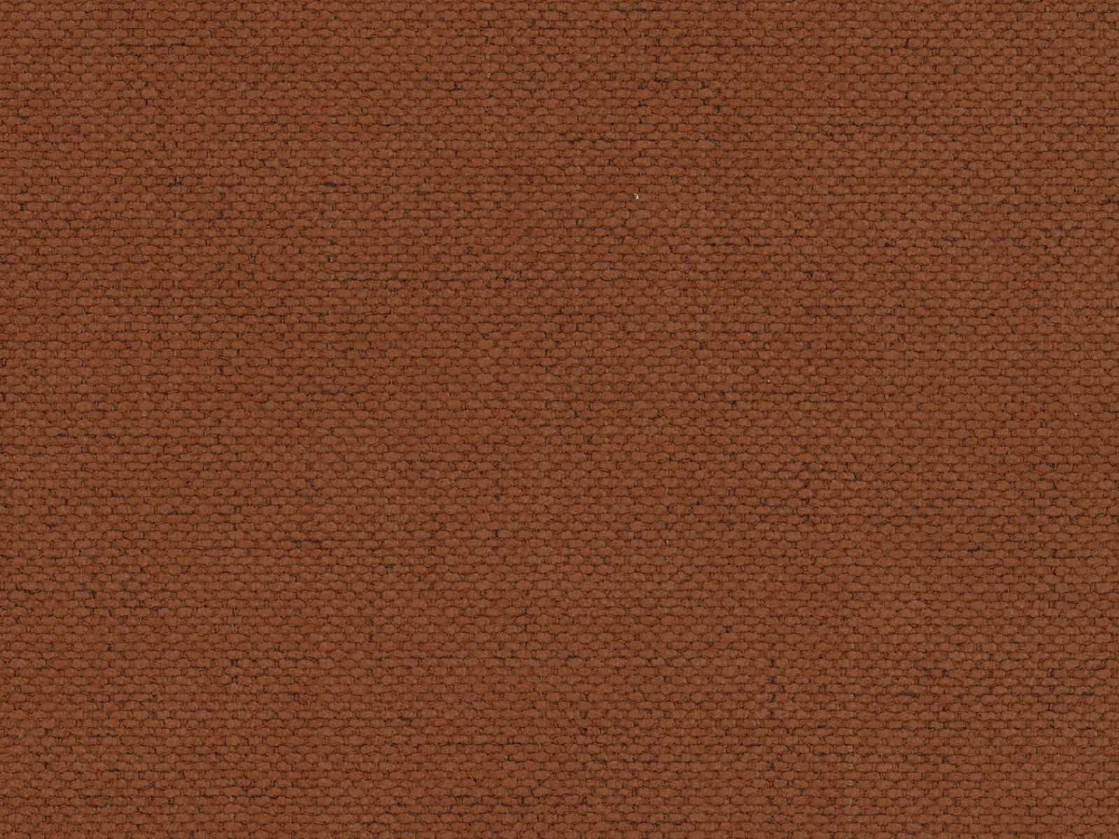 Stylisches 3-Sitzer Sofa Shannon in warmem Brick-Moly, perfekt für entspannte Abende und als funktionales Schlafsofa für Gäste.