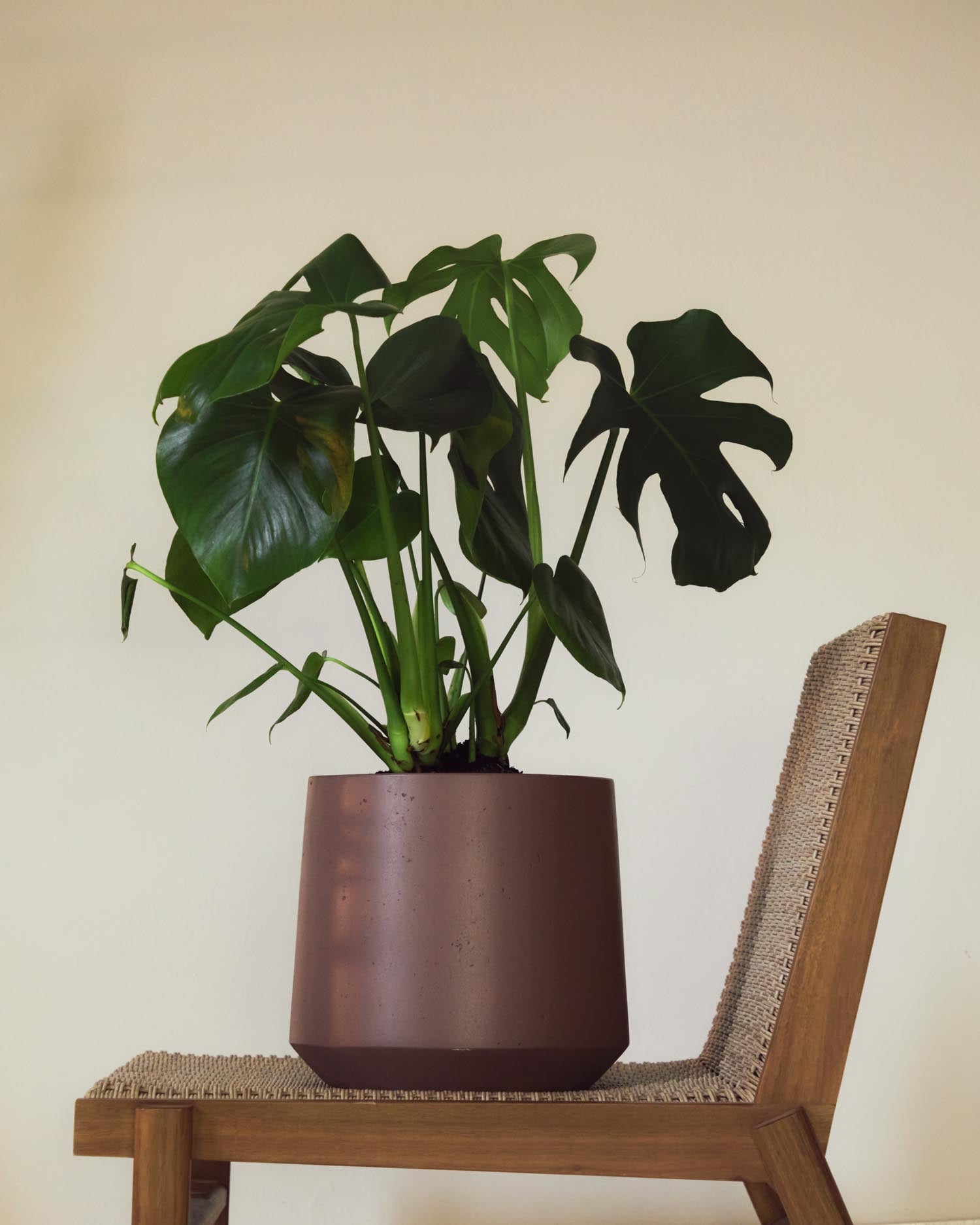 Entdecke den eleganten Blumentopf Calun aus Zement in Weinrot (Ø 32 cm) von Kave Home – ideal für stilvolle Akzente in Deinem Zuhause.