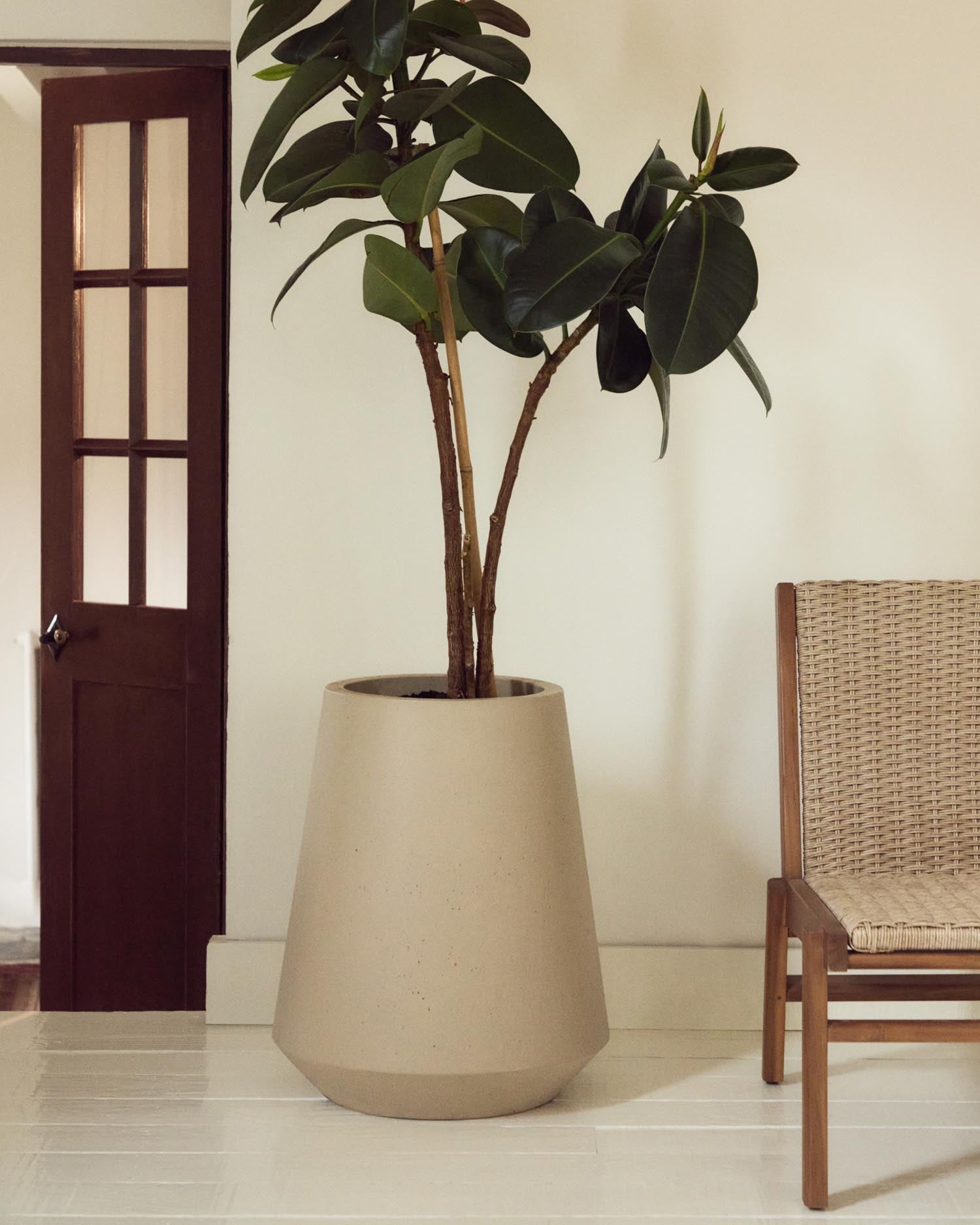 Entdecke den eleganten Blumentopf Calun aus hochwertigem Zement in Beige mit Ø 50 cm – ideal für stilvolle Innen- und Außenbereiche.